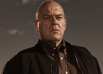 breaking bad tv tropes|tv tropes hank schrader.